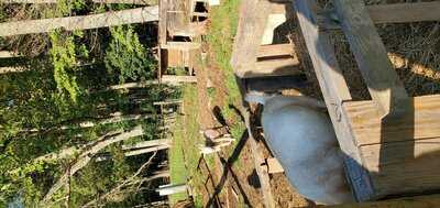 The Handle Bar + Kitchen