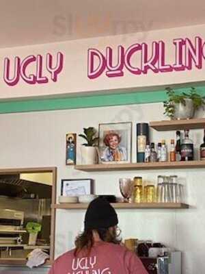 The Ugly Duckling
