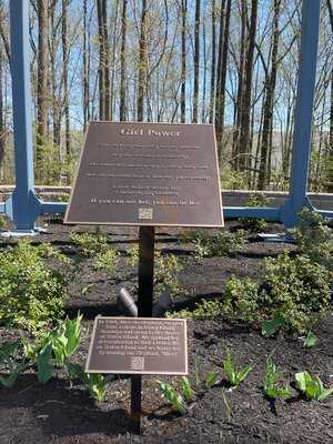 Pienza Brick Oven Pizza Cafe