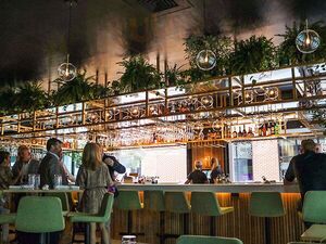 Camp Modern American Eatery