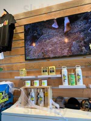 Wow Wow Lemonade Mae Anne