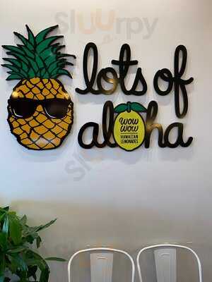 Wow Wow Lemonade Mae Anne