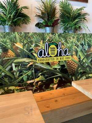 Wow Wow Lemonade Mae Anne