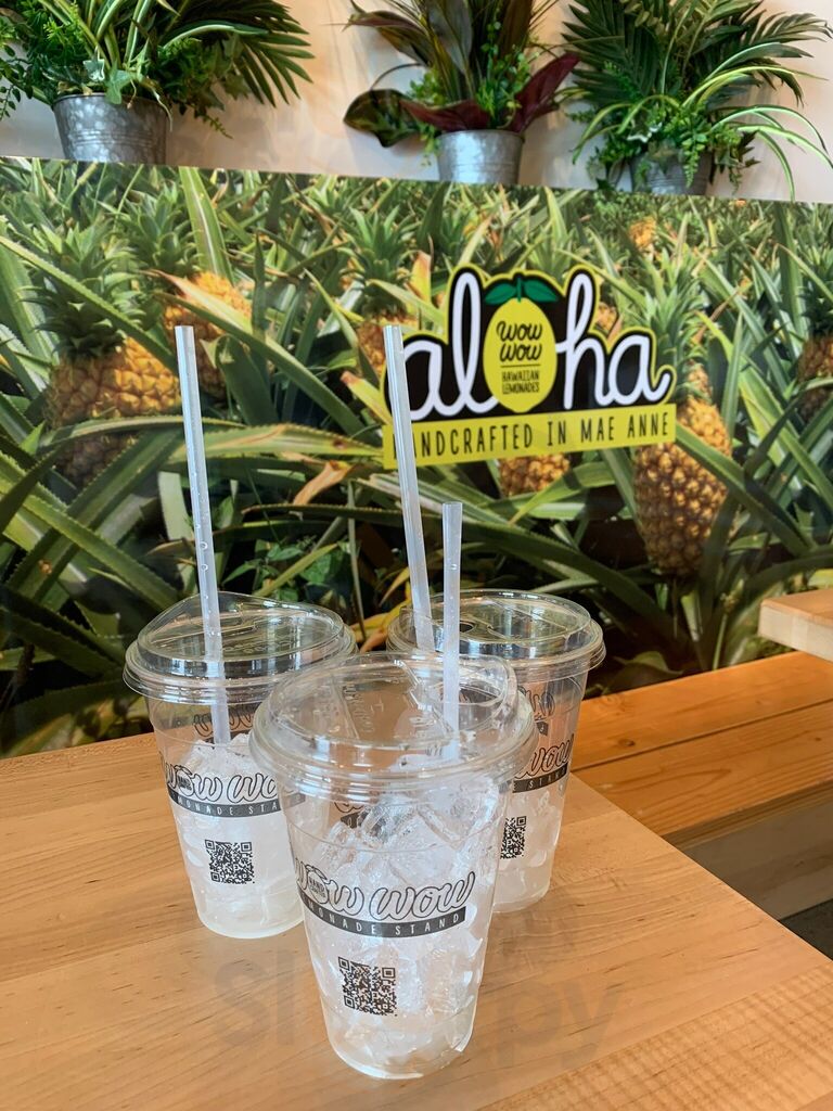 Wow Wow Lemonade Mae Anne