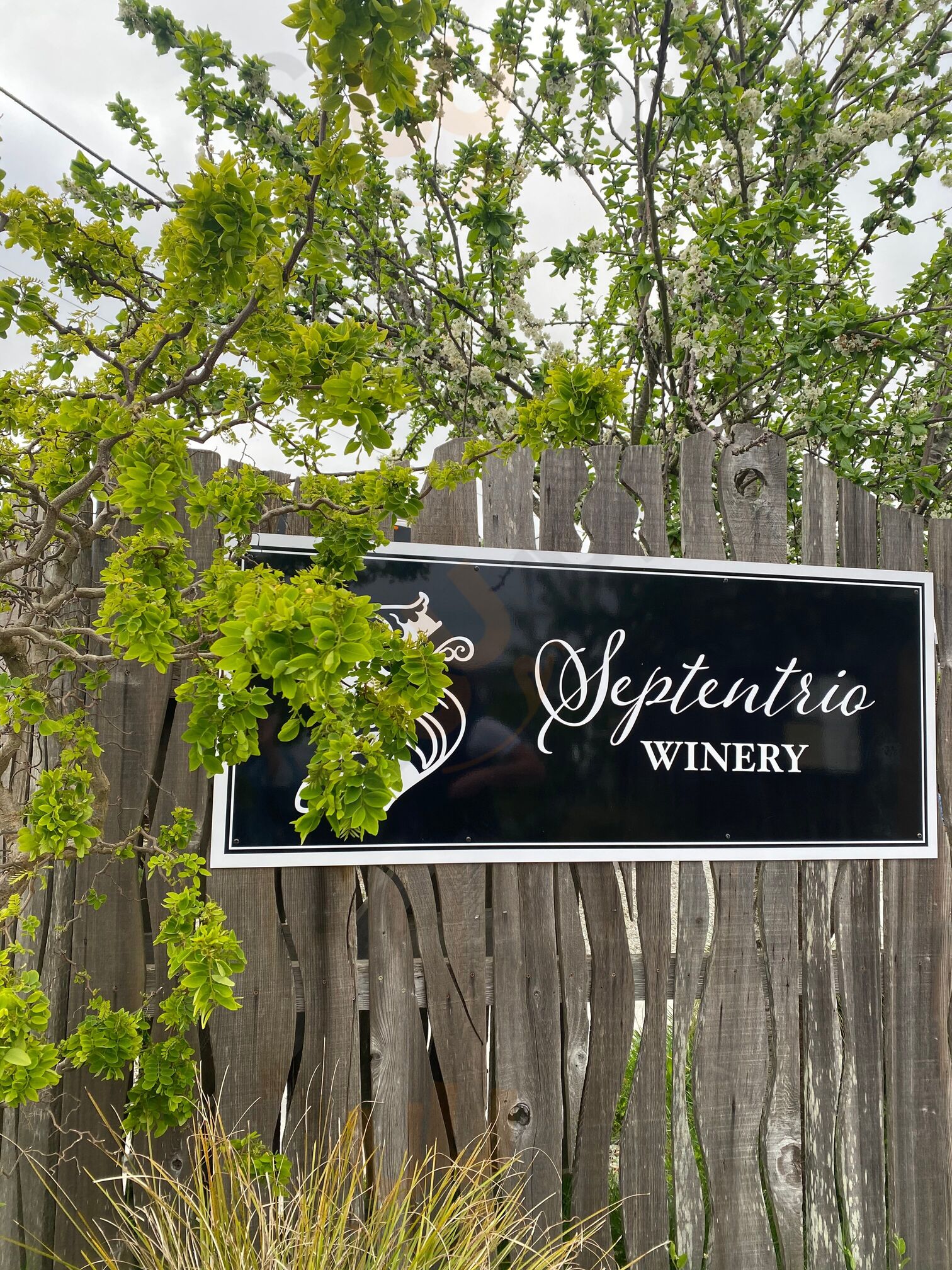 Septentrio Winery