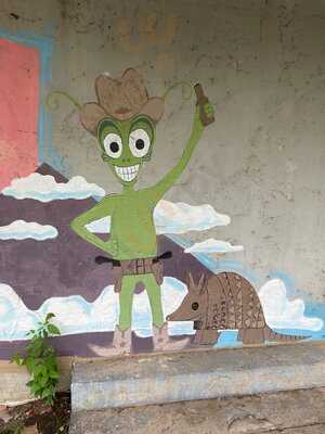 Twin Creeks Icehouse