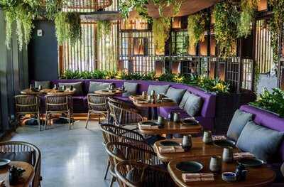 Tanuki River Landing