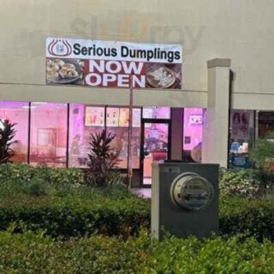 Serious Dumplings Boca Raton