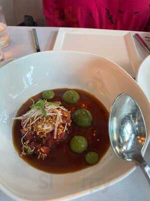 Ponte Modern American