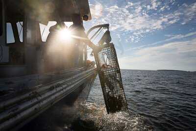 New Point Lobster Co.