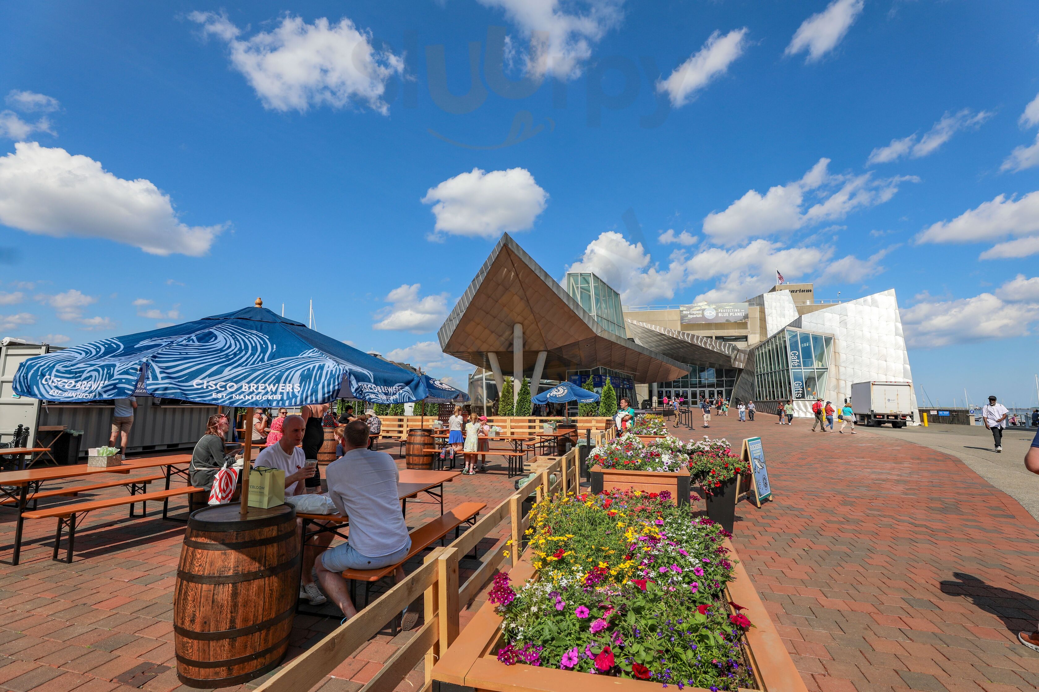 Dockside Beer Garden On Central Wharf