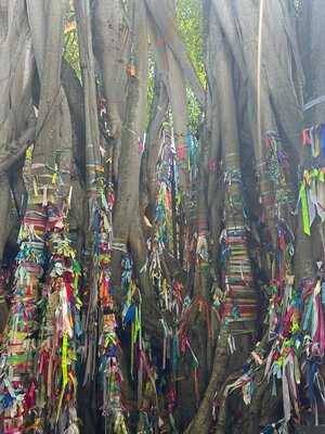 El Turco Turkish Food