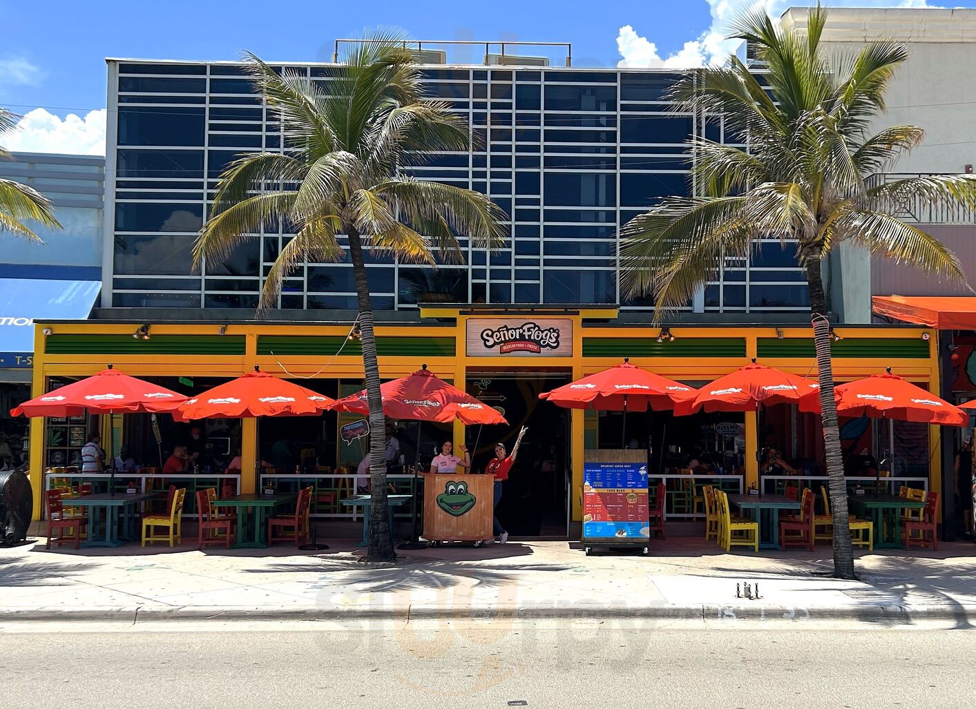 Senor Frog's Fort Lauderdale