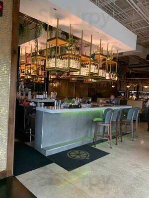 Pisco Peruvian Gastrobar