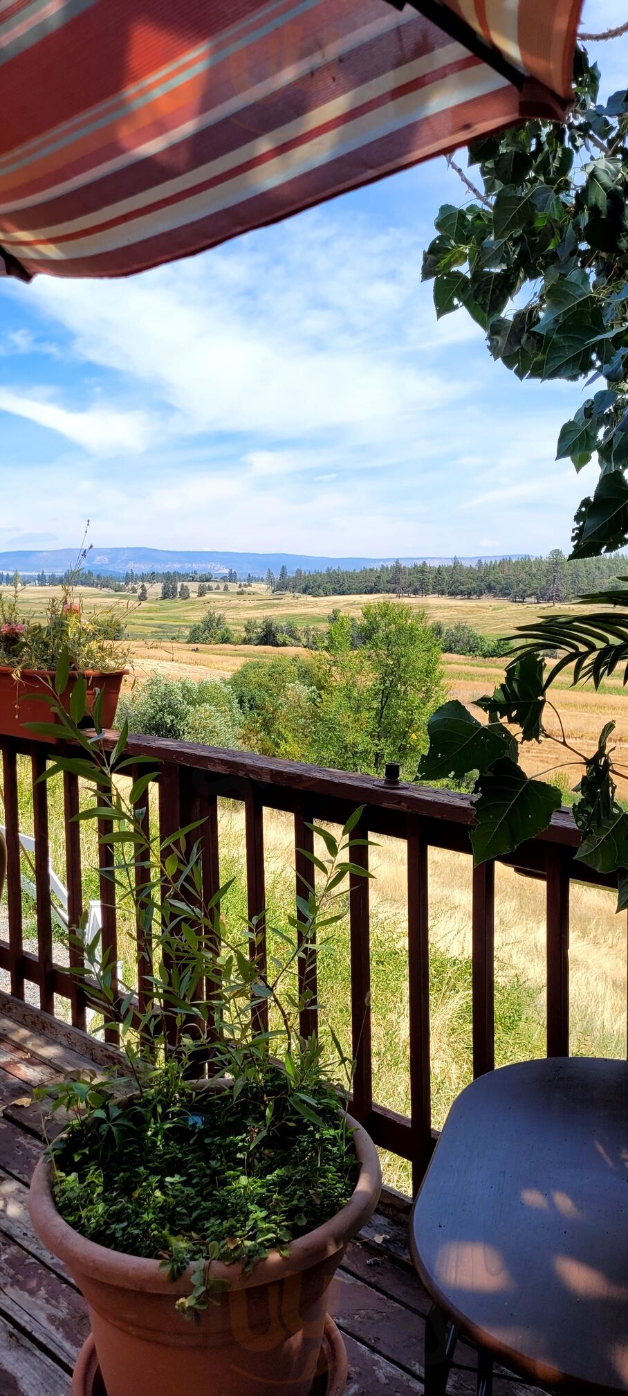 La Cocina Michoacana