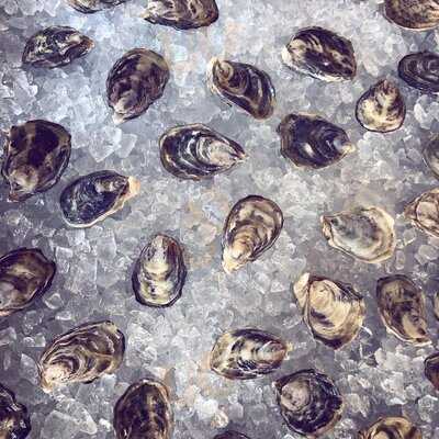 Sunday Best By Juniper