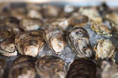 Sunday Best By Juniper