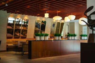 Wild Hare Bar Garden