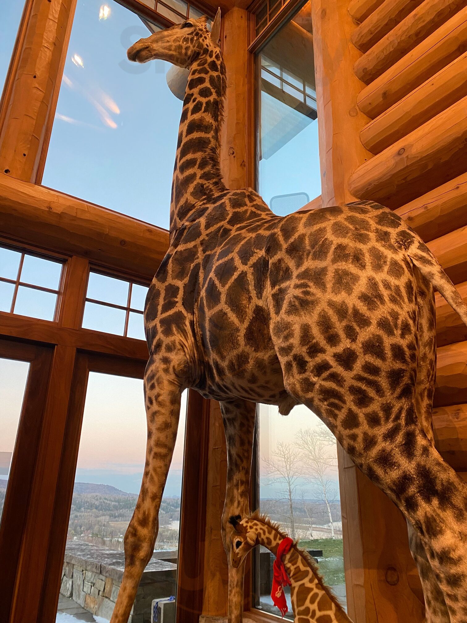 Trophy Lodge At Mont Du Lac