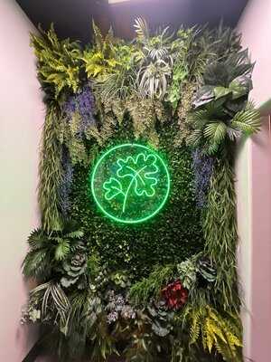 Cilantro Latin Fusion