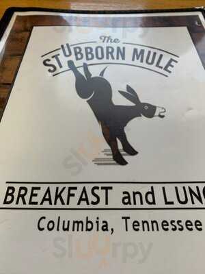 The Stubborn Mule