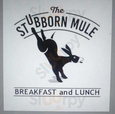 The Stubborn Mule