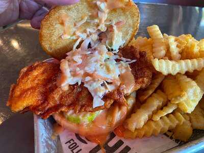 Houston Tx Hot Chicken