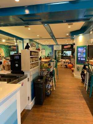 The Coffee House By Schell Brothers