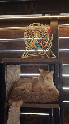 Whiskers And Wine Bar