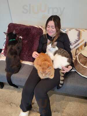 Whiskers And Wine Bar