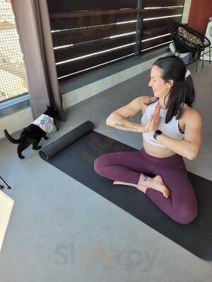 Whiskers And Wine Bar