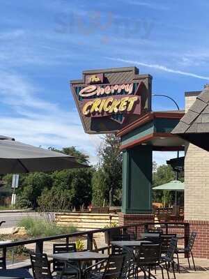 Cherry Cricket