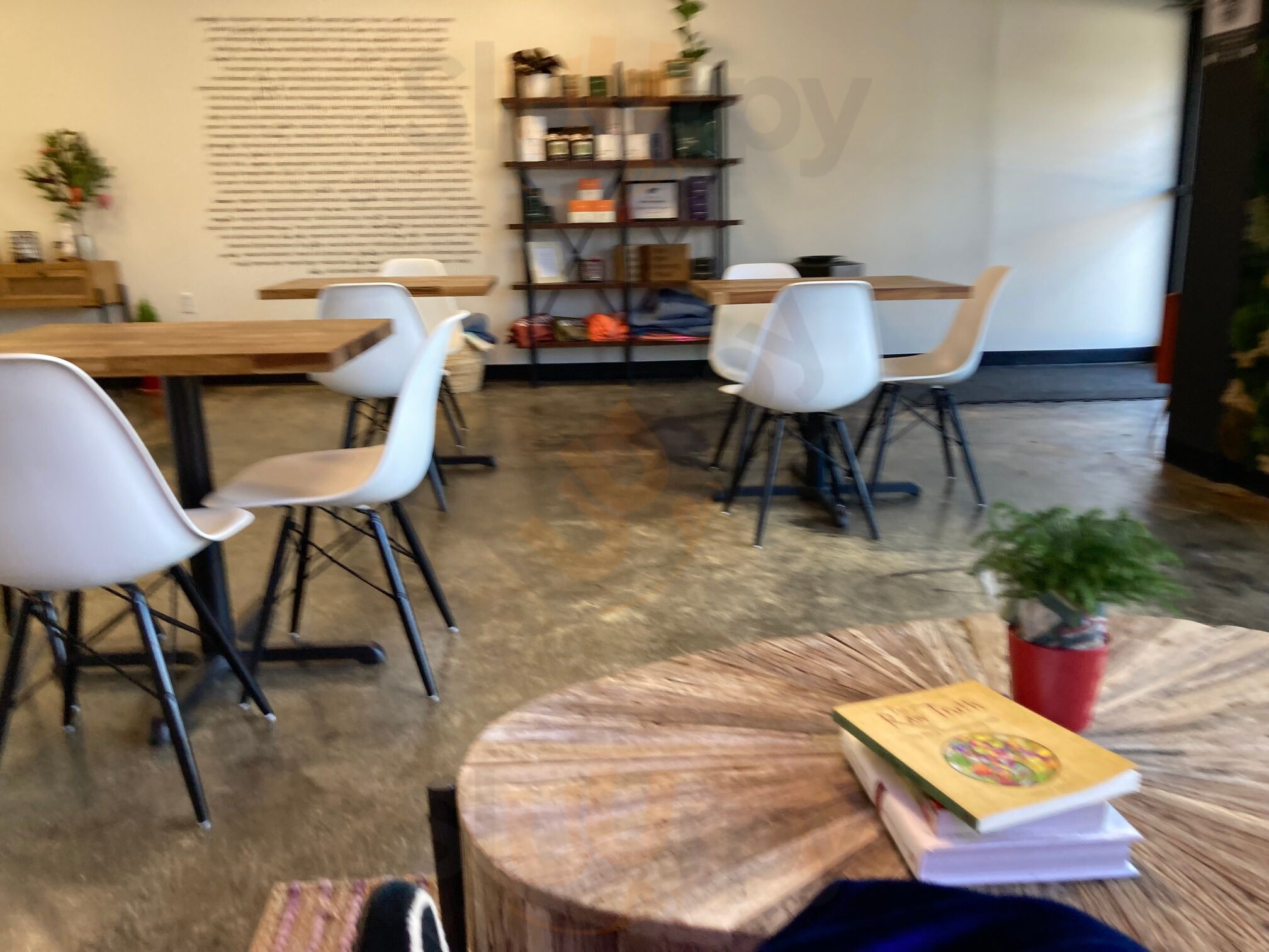 Wellthy Juice Company