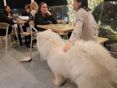 Malibu Farm San Diego