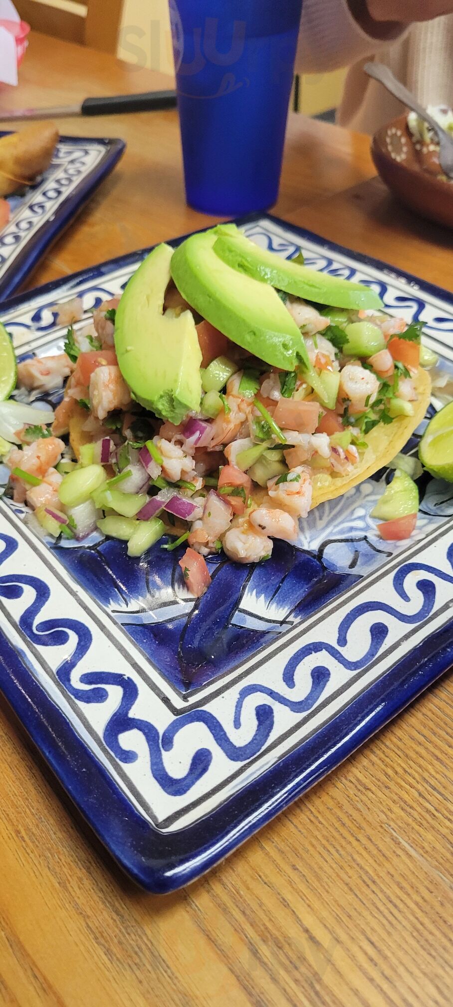 Tierra Mia Mexican Grill