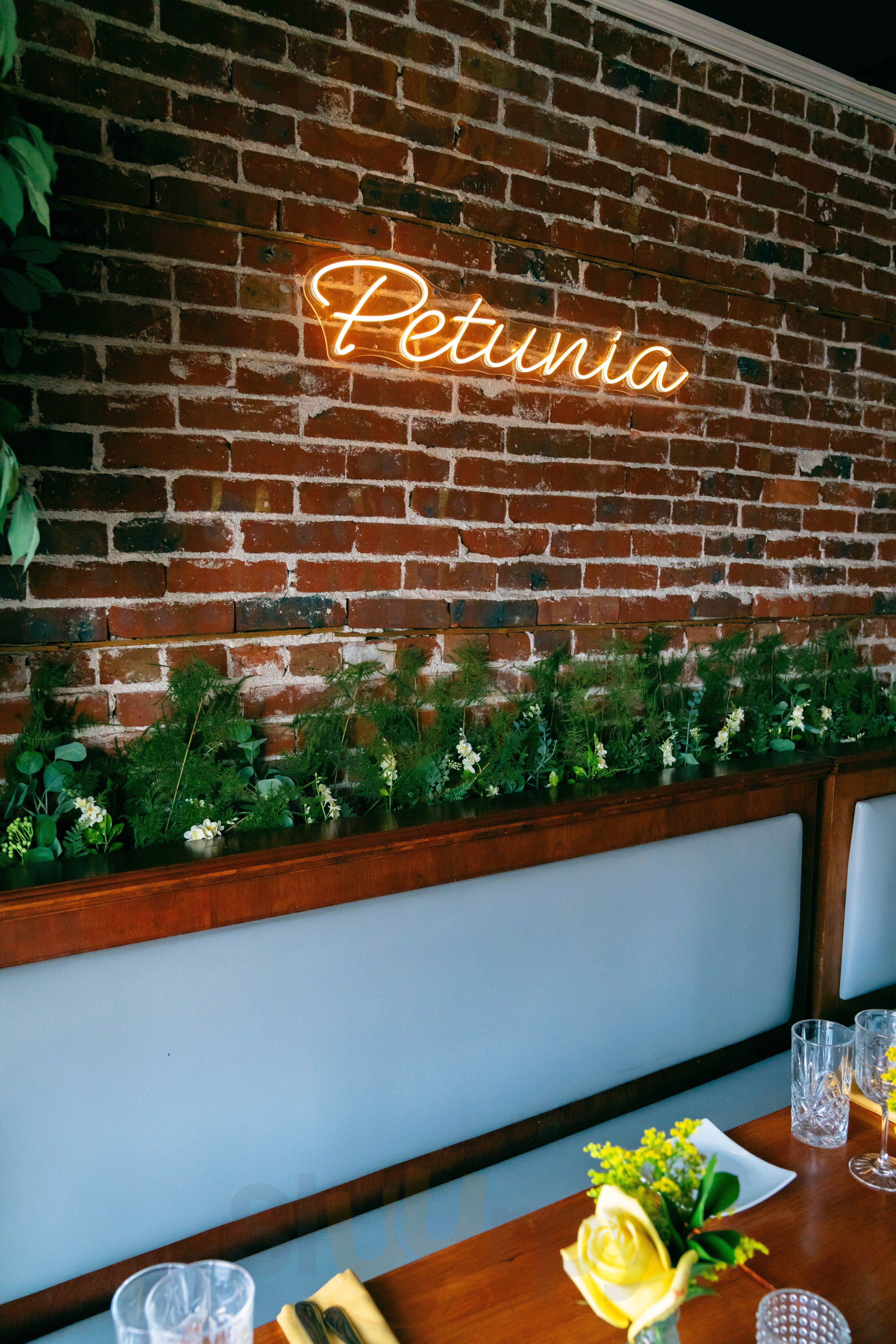 Petunia Byob