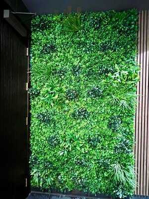 Tamasha Modern Indian