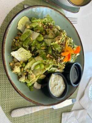 The Green Orchid By Michael's On East