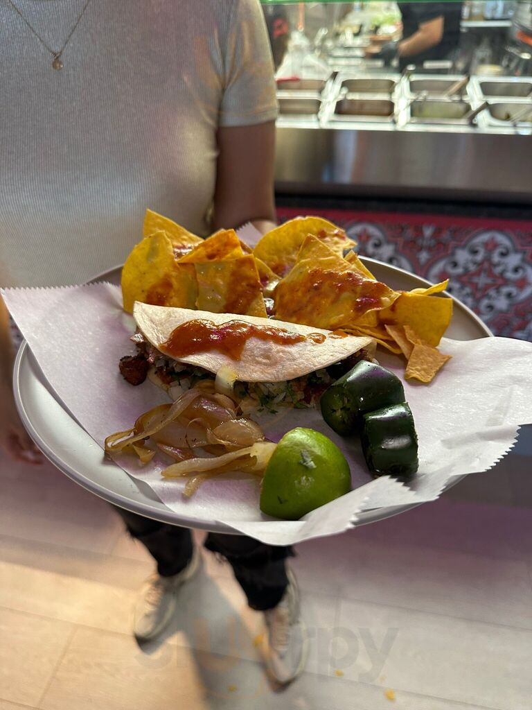 Tacos  & Cantina La Potranca Miami