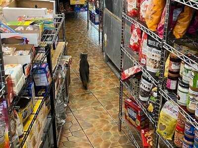 840 United Deli Corp.