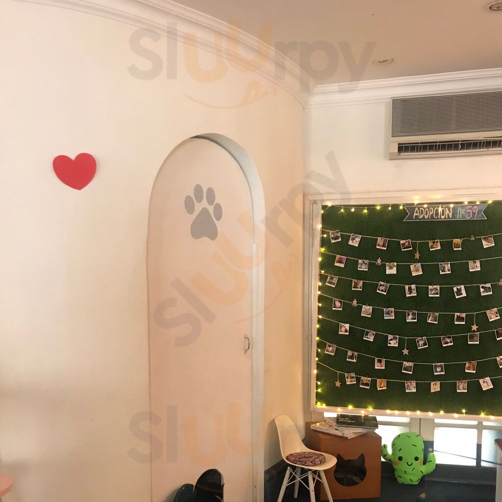 Adrianuzca's Cat Café