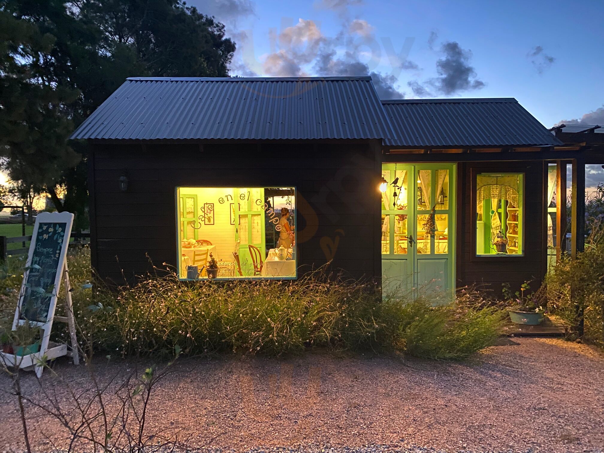 Café En El Campo