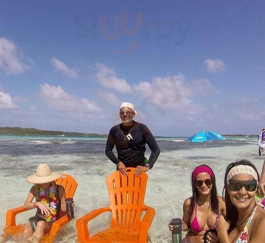 Dolce Morrocoy