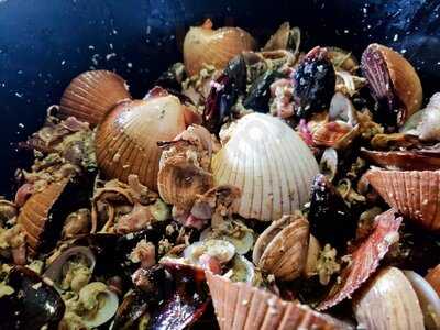 Inversiones Guarda Tinajas C A