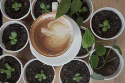 Tiệm Cà Phê Tê Tê