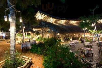 Jungle Show - Closed