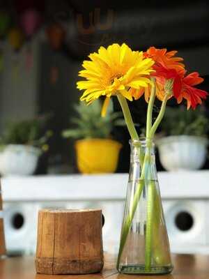 Spice House Restaurant & Bar