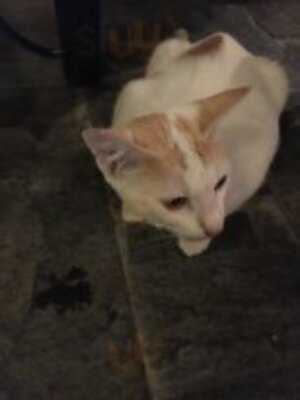 Cava Restaurant & Winecafe