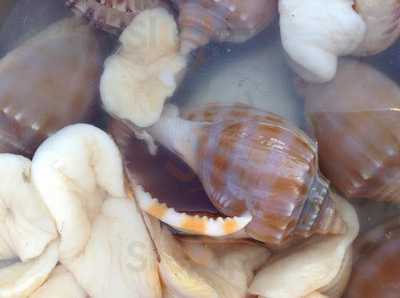 Quán Ăn Yến Nhi Nguyễn . Кафе - ЧайКа