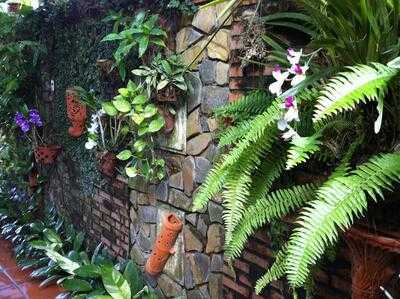 Hoi An Restaurant - Blue Gecko